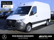 Mercedes Sprinter, 317 L2H2 Holzboden, Jahr 2023 - Heide