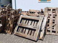 Holz, Paletten - Saarwellingen