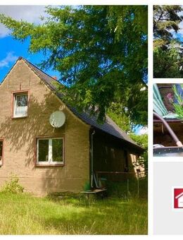 Einfamilienhaus auf großem Grundstück - Nähe der Ostsee und Greifswald - Gribow