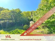 Traumhafte 4-ZKB Eigentumswohnung mit drei Balkonen, Kamin, Gartenmitbenutzung und atemberaubenden Blick über Trier! - Trier