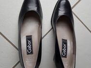 Gabor Pumps Größe 5.5 Glattleder dunkelblau Blockabsatz 6 cm - Hamburg Wandsbek