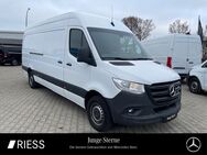 Mercedes Sprinter, 317 KA Maxi MBUX °, Jahr 2021 - Ravensburg