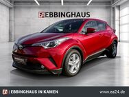 Toyota C-HR, Hybrid Team D ----Lenkraheiz--Totwinkelwarner, Jahr 2019 - Kamen