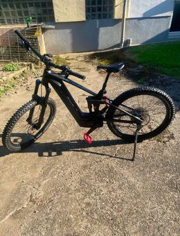 Fahrrad - Trier
