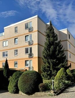 Renovierte großzügige Eigentumswohnung mit sonnigem Balkon und Tiefgarage - Wernigerode