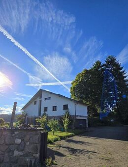 KERNSANIERTE TRAUM LUXUS VILLA MIT GROSSEM GRUNDSTÜCK IN EINER EINZIGARTIGEN LAGE IM SÜDSCHWARZWALD - Häusern