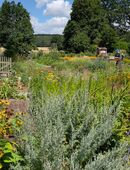 Haushaltshelfer Gartenarbeiten Entrümpeln Baumschnitt Fällarbeiten Winterdienst in 39175