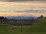 3 Zi.Whg. mit Alpenkettensicht bei Lindau am Bodensee/ provisionsfrei - Weißensberg