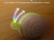 Cheerble Interaktives Katzenspielzeug mit LED-Leuchten - Flensburg