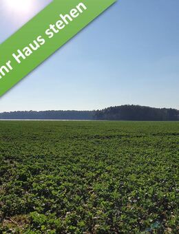 Das ausbaufähige und flexible Massivhaus "FürDich" im kommenden Baugebiet in Wathlingen. - Nienhagen (Niedersachsen)