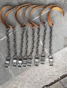 Im Winter ... biete ich Schneeketten ... - Bad Gottleuba-Berggießhübel