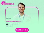 Abteilungsleitung IT (m/w/d) - Handewitt