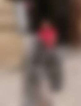 Exm*** - Birkenwerder