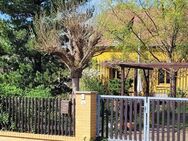 Charmantes EFH im mediterranen Stil in Gartenidylle von Weinböhla - Weinböhla