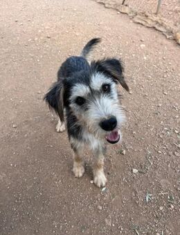 Gabana bereit fürs Abenteuer Liebe - Völklingen