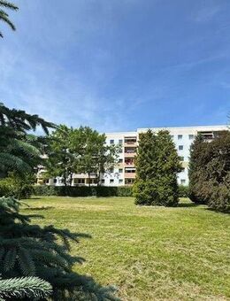 "ABSOLUT SCHICK & MODERN!" Eff.-Klasse:B! -82m²-1.OG-3-Zimmer-Küche mit toller EBK, 2xBäder(HWR), Hobbyraum, KfZ-Stellpl.+optional Garage! - Gera