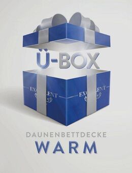 Excellent Daunenbettdecke Überraschungsbox, Füllung: 90% Daunen, 10% Federn, Bezug: Baumwolle, absoluter Sonderpreis, wegen Lagerräumung, Solange der Vorrat reicht
