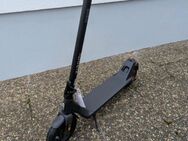 E scotter Xiaomi lite 4 - Voerde (Niederrhein)