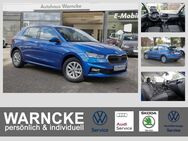 Skoda Fabia, 1.0 TSI Selection S, Jahr 2024 - Tarmstedt