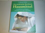 Das praktische Kursbuch Hausmittel - Krankheiten vorbeugen, erkennen und selbst behandeln - Chemnitz