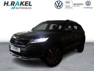 Skoda Kodiaq, 2.0 TDI Scout, Jahr 2019 - Geeste