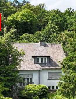 Handwerker und Naturliebhaber aufgepasst! - Frankenberg (Eder)