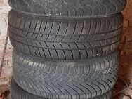 Winterreifen 205/55 R16 komplett mit Stahlfelgen - Milower Land