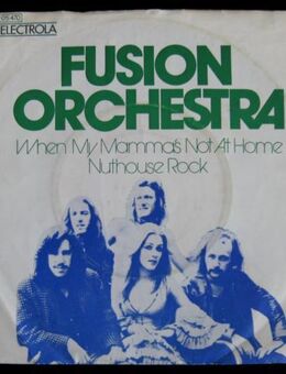 Fusion Orchestra - When My Mama's Not At Home (Single) - Niddatal Zentrum