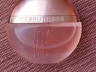 Cerruti 1881 Parfüm für Damen, 100 ml. - Neunkirchen (Saarland)