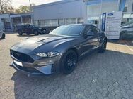 Ford Mustang 5.0 GT Fastback - Bad Oeynhausen