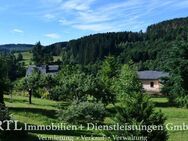 Ruhe und traumhafter Ausblick - Bad Lobenstein