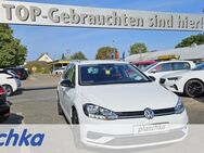 VW Golf Variant, 2.0 TDI Golf VII IQ DRIVE, Jahr 2019 - Munster