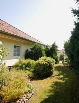 Generationenwohnen auf zwei Ebenen in zwei Wohneinheiten oder Platz für eine große Familie - Gevensleben