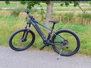 CARVER E-Bike zu verkaufen - Ebensfeld