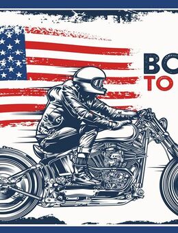 Hochwertiges Blechschild Born to Ride USA Motorrad Biker 20x30 cm - München