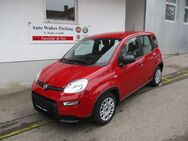 Fiat Panda, Base Base, Jahr 2024 - Pöcking