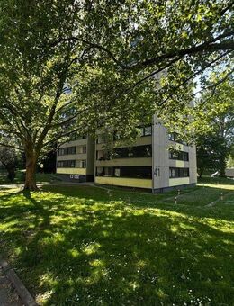 Ebenerdig wohnen, hoch hinaus denken - 3,5 Zimmer in Eving! - Dortmund