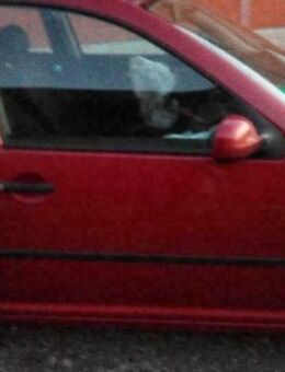 Golf 4 1,4L 4 tüerig Achse Bremse Fahrwerk Sitze Schlachtfest Tür - Bocholt Zentrum