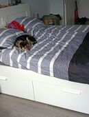 Brimnes 1.8 x 2.0 inkl.Lattenrost zu verkaufen in 47798