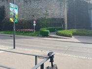 Suche Gravel/Rennrad Fahrer/Fahrerinnen für Touren - Steinheim (Murr)