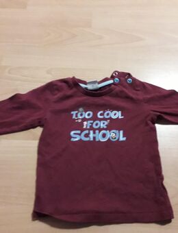 Süser Pullover gr. 74 s.oliver - Osnabrück