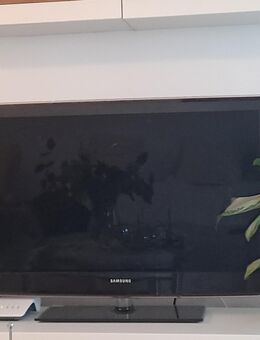 Fernseher Samsung - Landshut