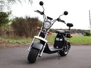 Coco Bike Fat E-Scooter mit Straßenzulassung bis zu 48 km/h schnell – mit Alu Felgen, 60V | 1500W | 20AH Akku -CP1.6 -Gelb o. schwarz - Köln
