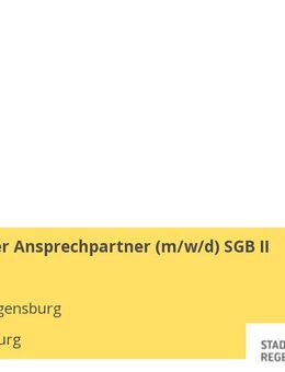 Persönlicher Ansprechpartner (m/w/d) SGB II (Ü25) - Regensburg