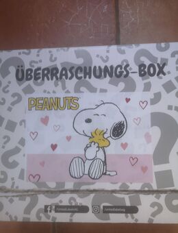 ÜBERRASCHUNGS - BOX von "SNOOPY" Peanuts - Krefeld