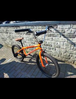 BMX Rad Eastern Lowdown - Viersen