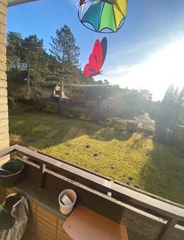 Wohlfühlwohnen mit 2 Balkonen beim Elbe-Seitenkanal - Bad Bevensen