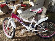 KinderFahrrad 20 Zoll - Loddin