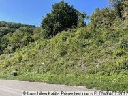 Baugrundstück plus landwirtschaftliche Fläche - Kreimbach-Kaulbach