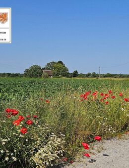 In Alleinlage! Hof mit 5.804 m² Land! - Medow